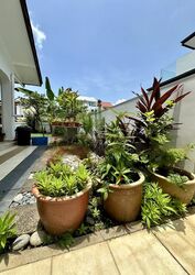 Bedokville (D16), Semi-Detached #453497211